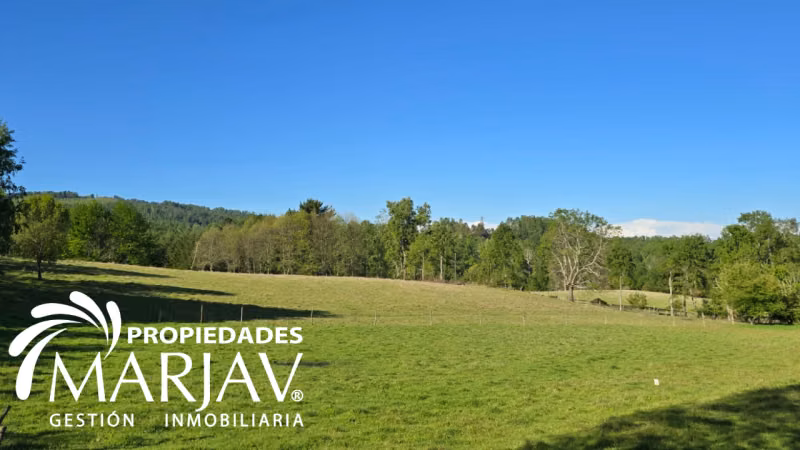 VENTA PARCELAS, SEPTIMA FAJA , HUELLANTO,VILLARRICA - Imagen 8