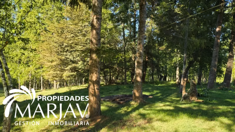 VENTA PARCELAS, SEPTIMA FAJA , HUELLANTO,VILLARRICA - Imagen 5