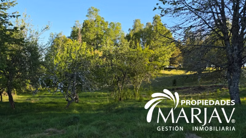 VENTA PARCELAS, SEPTIMA FAJA , HUELLANTO,VILLARRICA - Imagen 3