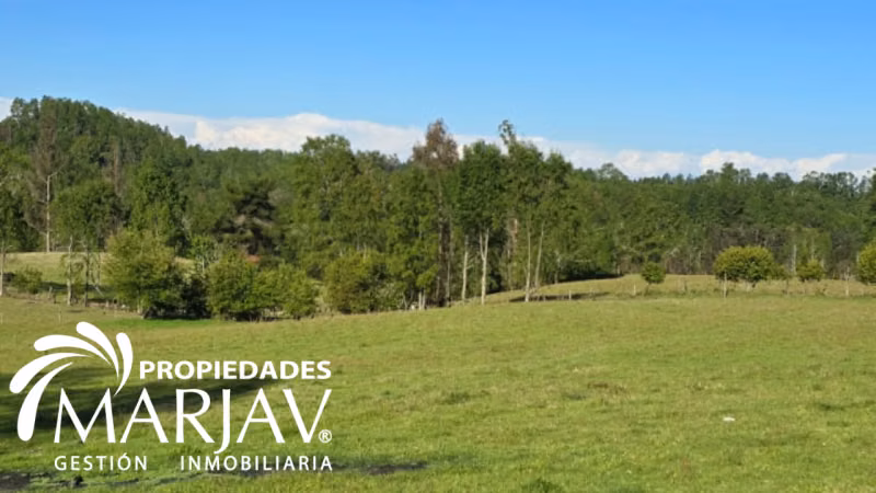VENTA PARCELAS, SEPTIMA FAJA , HUELLANTO,VILLARRICA - Imagen 11