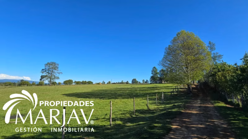 VENTA PARCELAS, SEPTIMA FAJA , HUELLANTO,VILLARRICA - Imagen 7