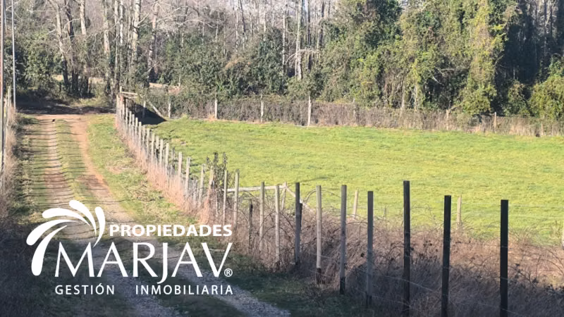 Venta Parcela 10.264 m2, km 20 villarrica-Gorbea