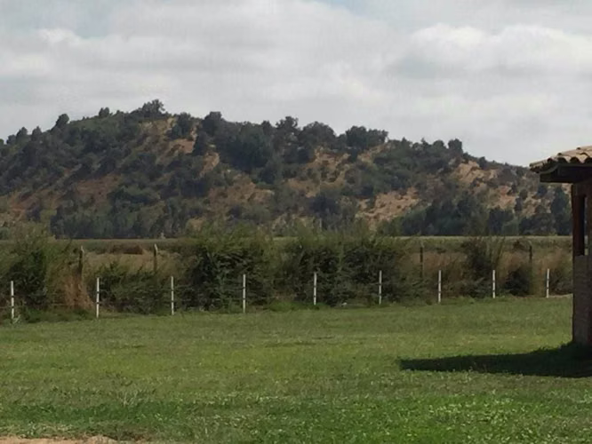 San Clemente 33 hectáreas suelo cultivable (170595) - Imagen 9