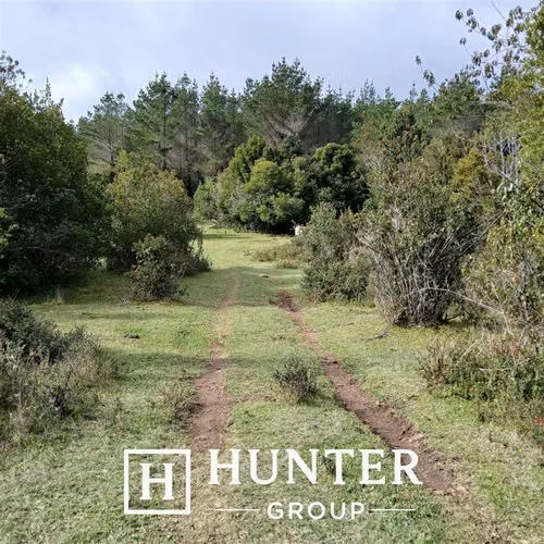 Sitio en venta en Valdivia (A 26 minutos sector Loncoyen)