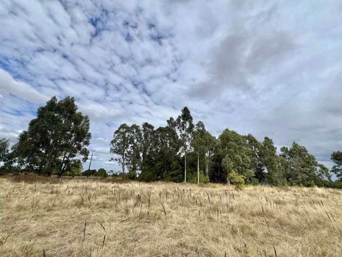 SE VENDE HERMOSA PARCELA CAMINO BOTROLHUE (171054)