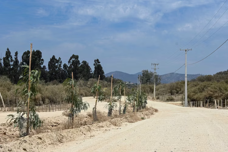VENTA PARCELA ALTOS DEL VALLE LIMACHE (171066)