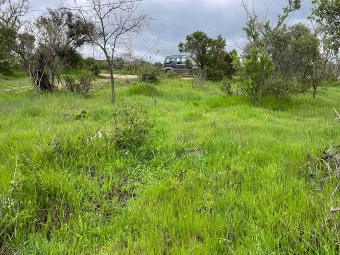 VENTA PARCELA ALTOS DEL VALLE LIMACHE (171066)