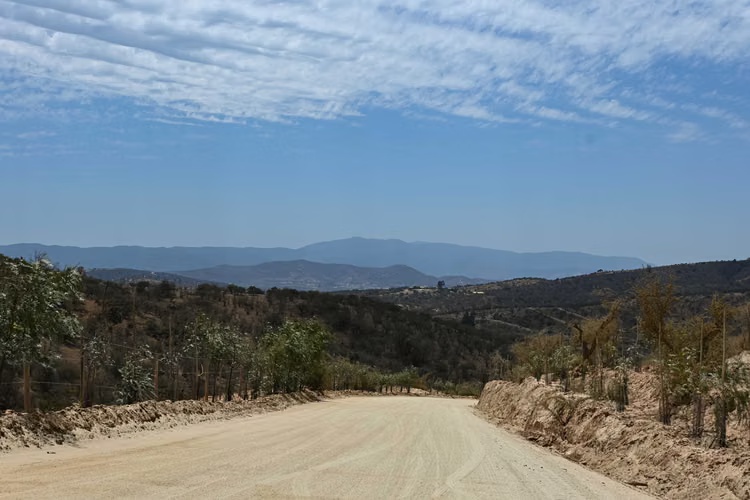 VENTA PARCELA ALTOS DEL VALLE LIMACHE (171066)