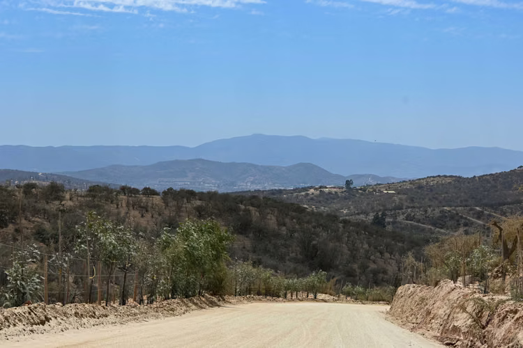 VENTA PARCELA ALTOS DEL VALLE LIMACHE (171066)