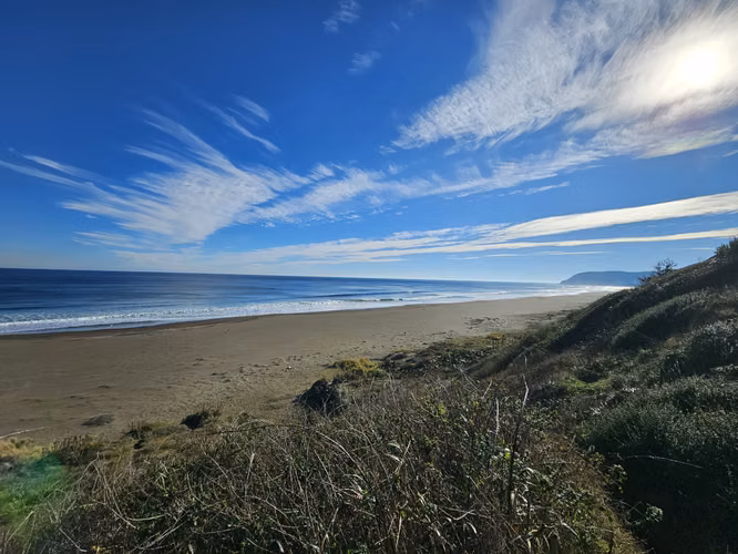 Terreno en Curiñanco – Frente a bajada a la playa