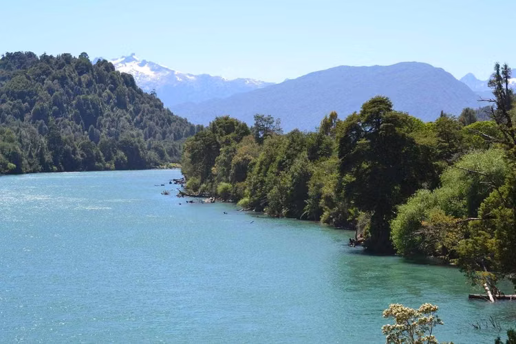 Oportunidad para Inversión en la naturaleza (171128)
