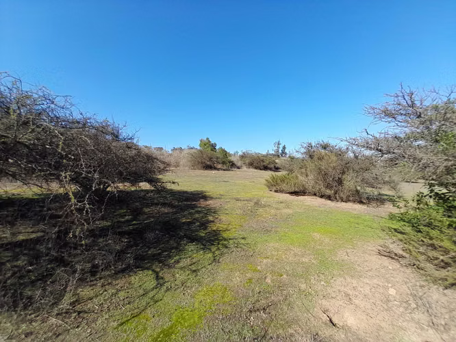 VISITE 3 OPCIONES DE PARCELAS EN LOS LAURELES (171106) - Imagen 21