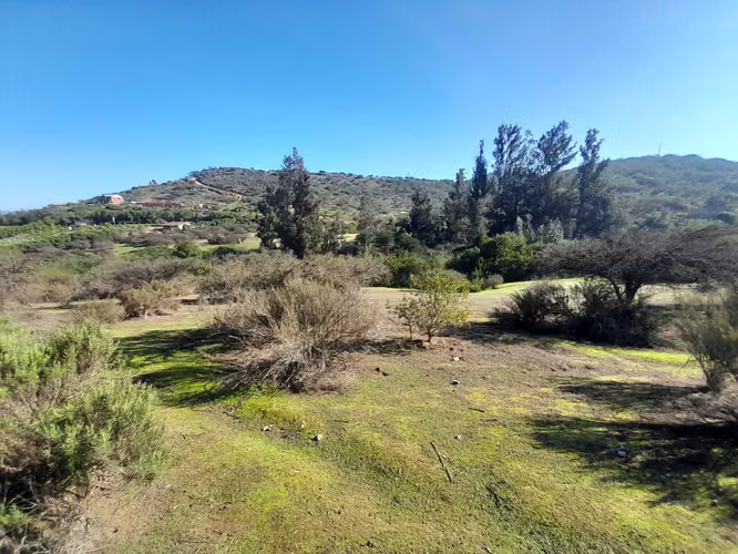 VISITE 3 OPCIONES DE PARCELAS EN LOS LAURELES (171106) - Imagen 14