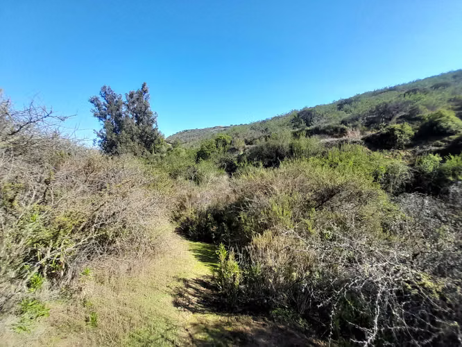 VISITE 3 OPCIONES DE PARCELAS EN LOS LAURELES (171106) - Imagen 20