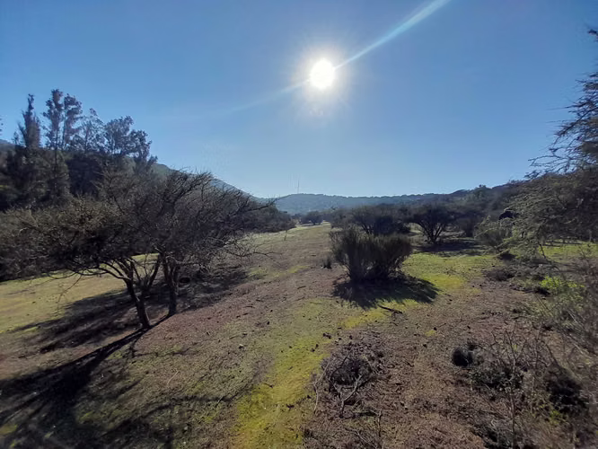 VISITE 3 OPCIONES DE PARCELAS EN LOS LAURELES (171106) - Imagen 7