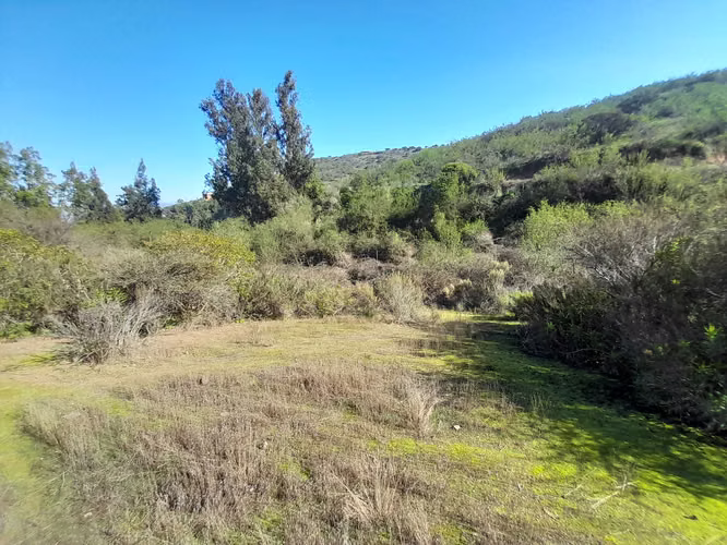 VISITE 3 OPCIONES DE PARCELAS EN LOS LAURELES (171106) - Imagen 3