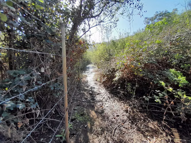 VISITE 3 OPCIONES DE PARCELAS EN LOS LAURELES (171106) - Imagen 17