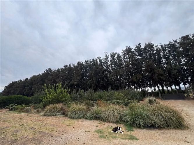 CASA LOS LAURELES