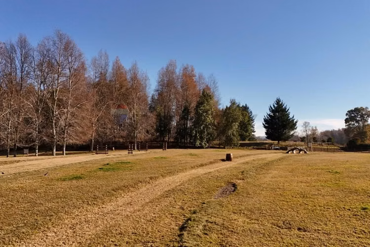 Venta terreno 5.000 mts2 villarrica -pucón