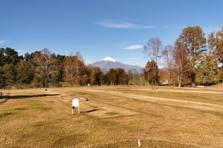 Venta terreno 5.000 mts2 villarrica -pucón