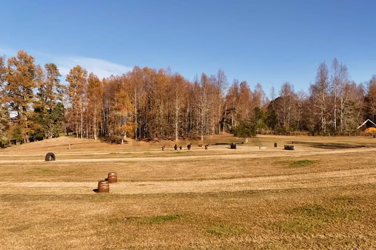 Venta terreno 5.000 mts2 villarrica -pucón