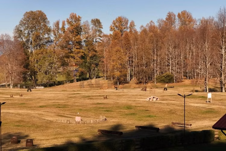 Venta terreno 5.000 mts2 villarrica -pucón
