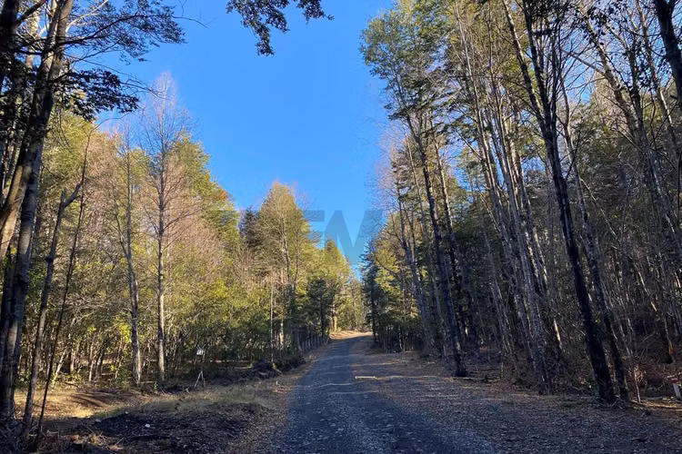 Vende parcela pucón sector los nevados