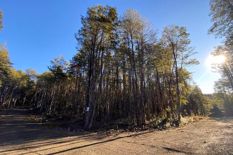 Vende parcela pucón sector los nevados