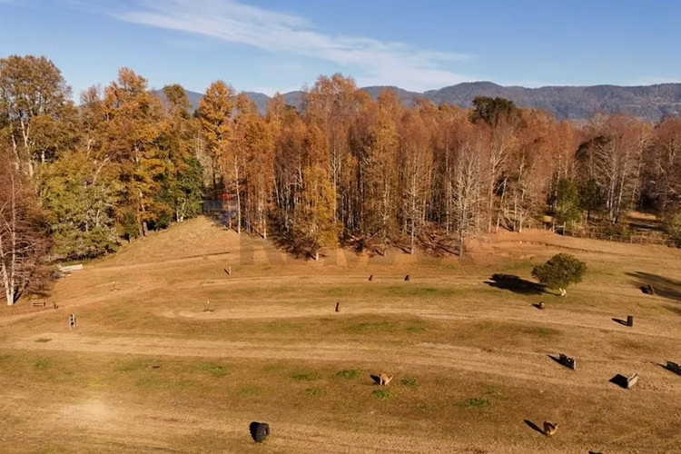 Venta terreno 2,5 hectáreas villarrica - pucón