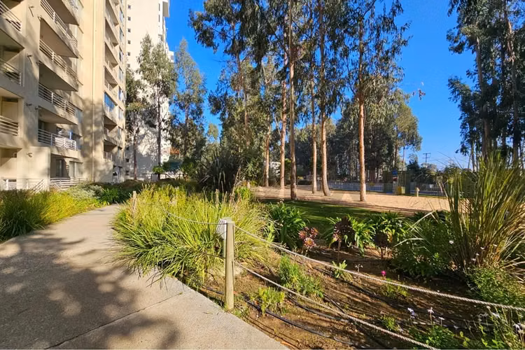 Venta depto 3d-2b-1e-1b mirasol. algarrobo - Imagen 40