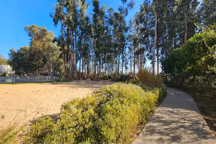 Venta depto 3d-2b-1e-1b mirasol. algarrobo - Imagen 37