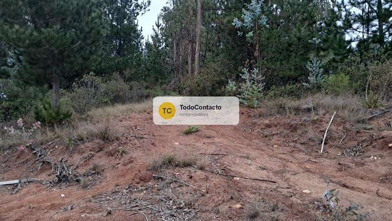 Parcela en venta en Navidad - 5.000 m2 Tumán