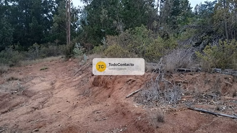 Parcela en venta en Navidad - 5.000 m2 Tumán