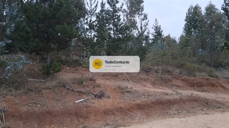 Parcela en venta en Navidad - 5.000 m2 Tumán
