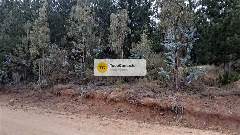 Parcela en venta en Navidad - 5.000 m2 Tumán