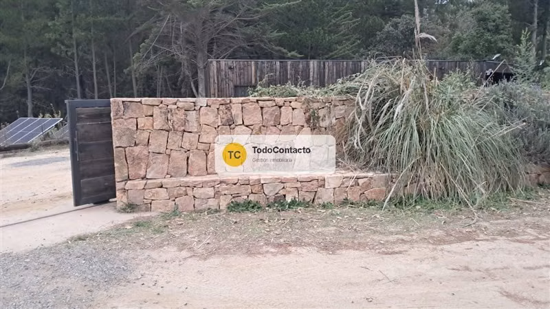 Parcela en venta en Navidad - 5.000 m2 Tumán