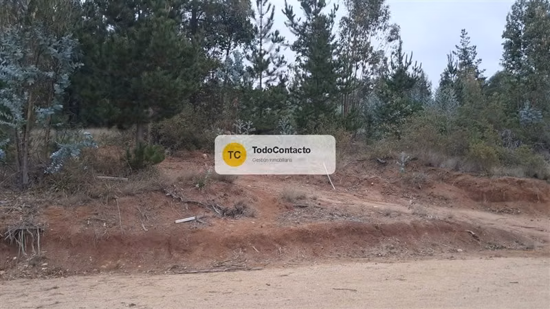 Parcela en venta en Navidad - 5.000 m2 Tumán