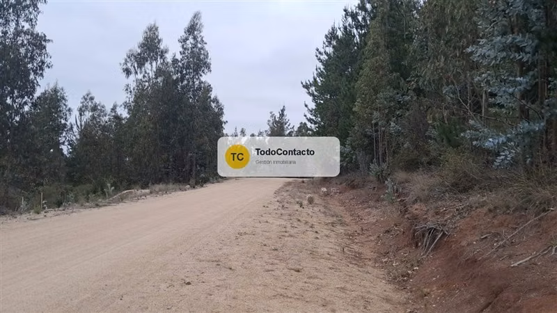 Parcela en venta en Navidad - 5.000 m2 Tumán
