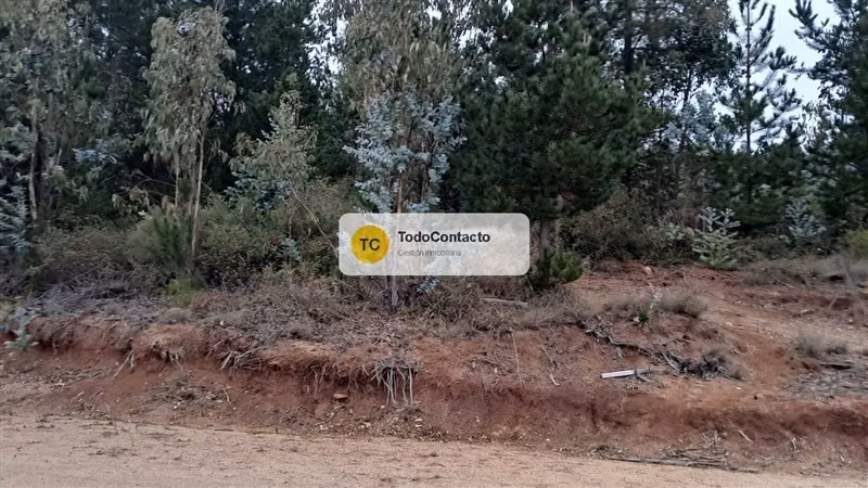 Parcela en venta en Navidad - 5.000 m2 Tumán