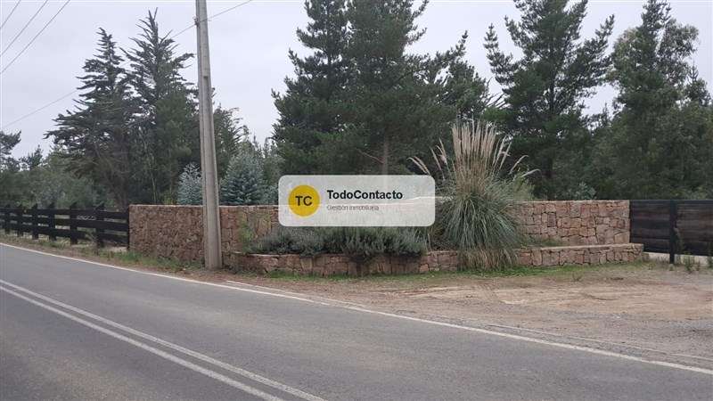 Parcela en venta en Navidad - 5.000 m2 Tumán