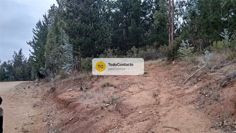 Parcela en venta en Navidad - 5.000 m2 Tumán