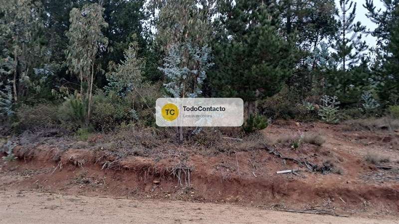 Parcela en venta en Navidad - 5.000 m2 Tumán