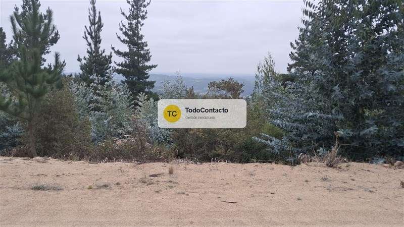 Parcela en venta en Navidad - 5.000 m2 Tumán