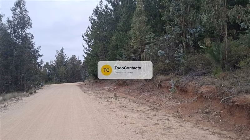 Parcela en venta en Navidad - 5.000 m2 Tumán