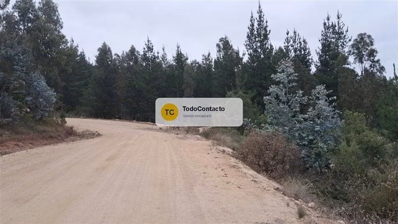 Parcela en venta en Navidad - 5.000 m2 Tumán