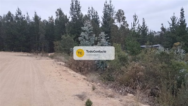 Parcela en venta en Navidad - 5.000 m2 Tumán