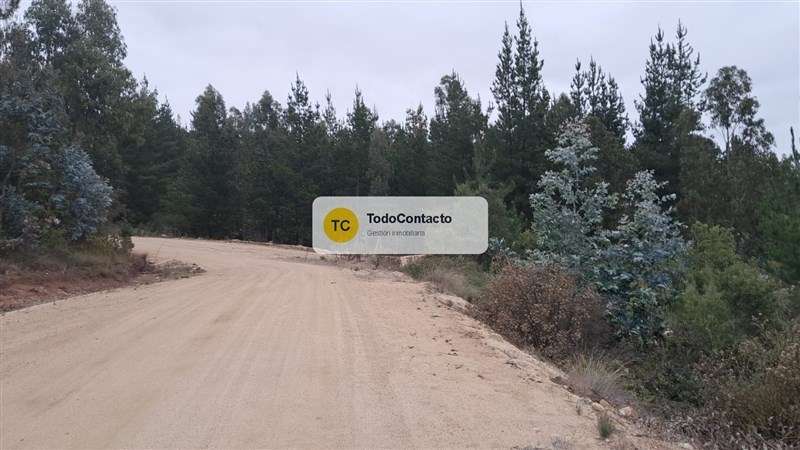 Parcela en venta en Navidad - 5.000 m2 Tumán