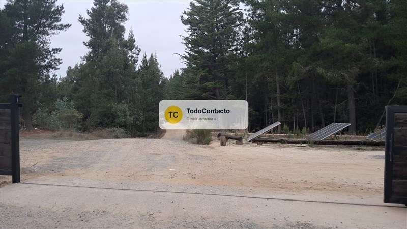 Parcela en venta en Navidad - 5.000 m2 Tumán