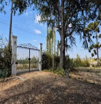 Agrícola en venta en Villa Alegre - 48,34 Hectáreas