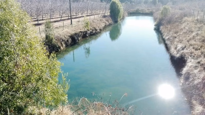 Agrícola en venta en Pemuco - 22,6 Hectáreas